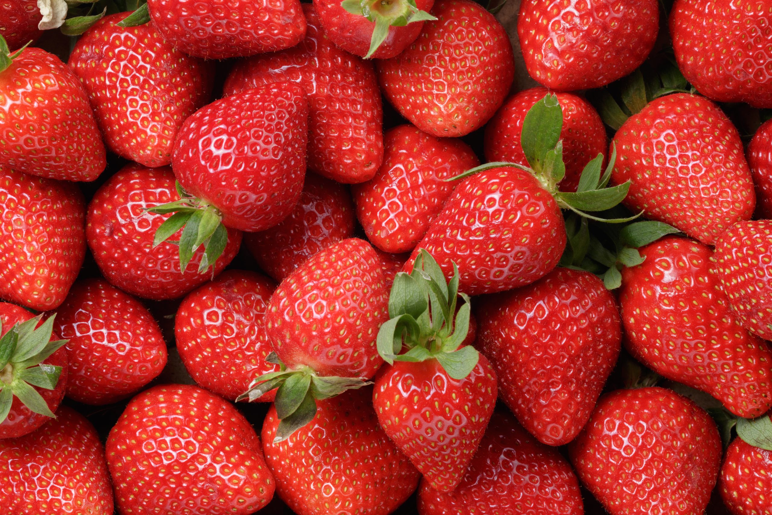 Frutilla-alta-definicion-scaled.jpg